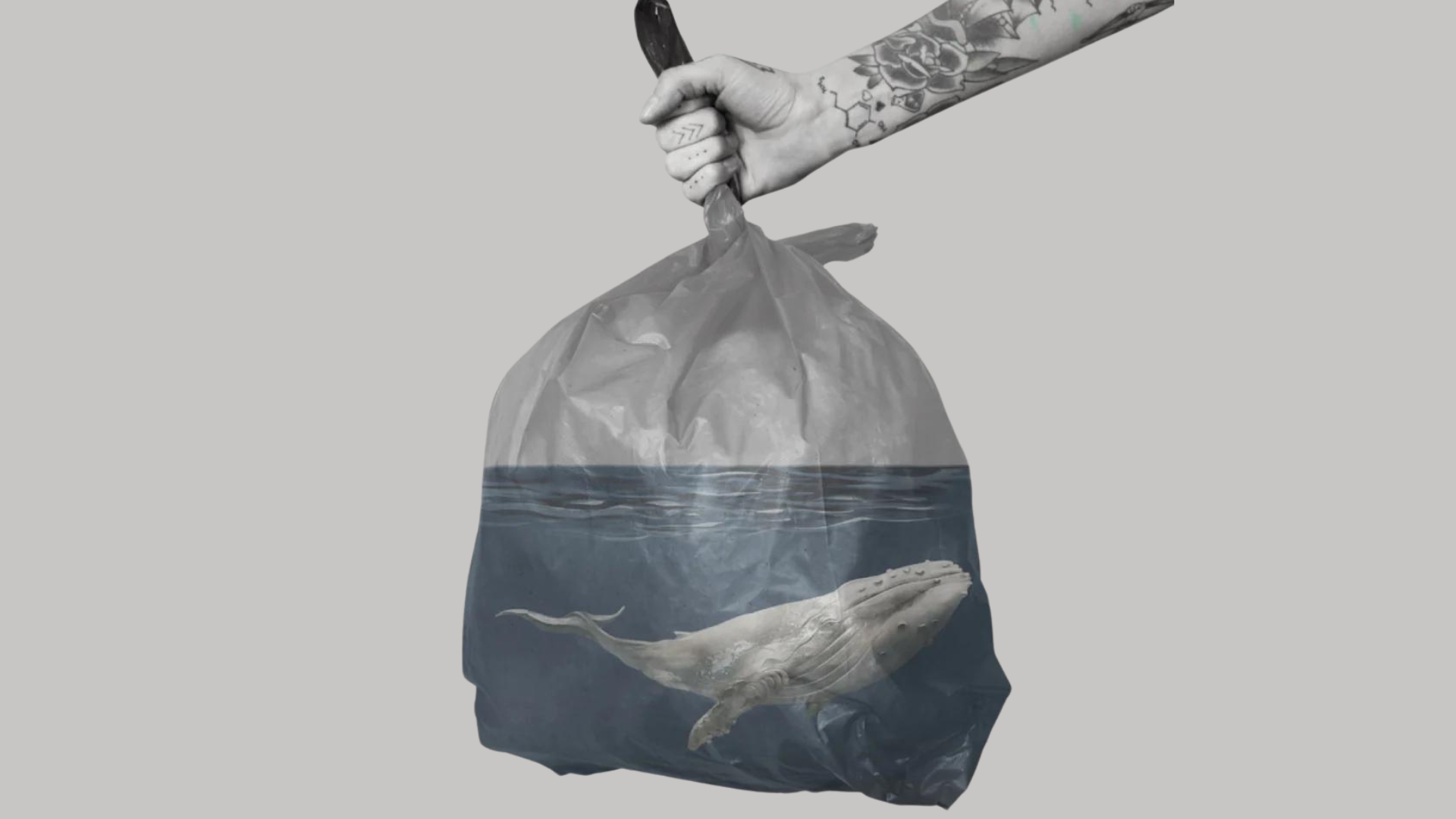 L'importanza del riciclare la plastica