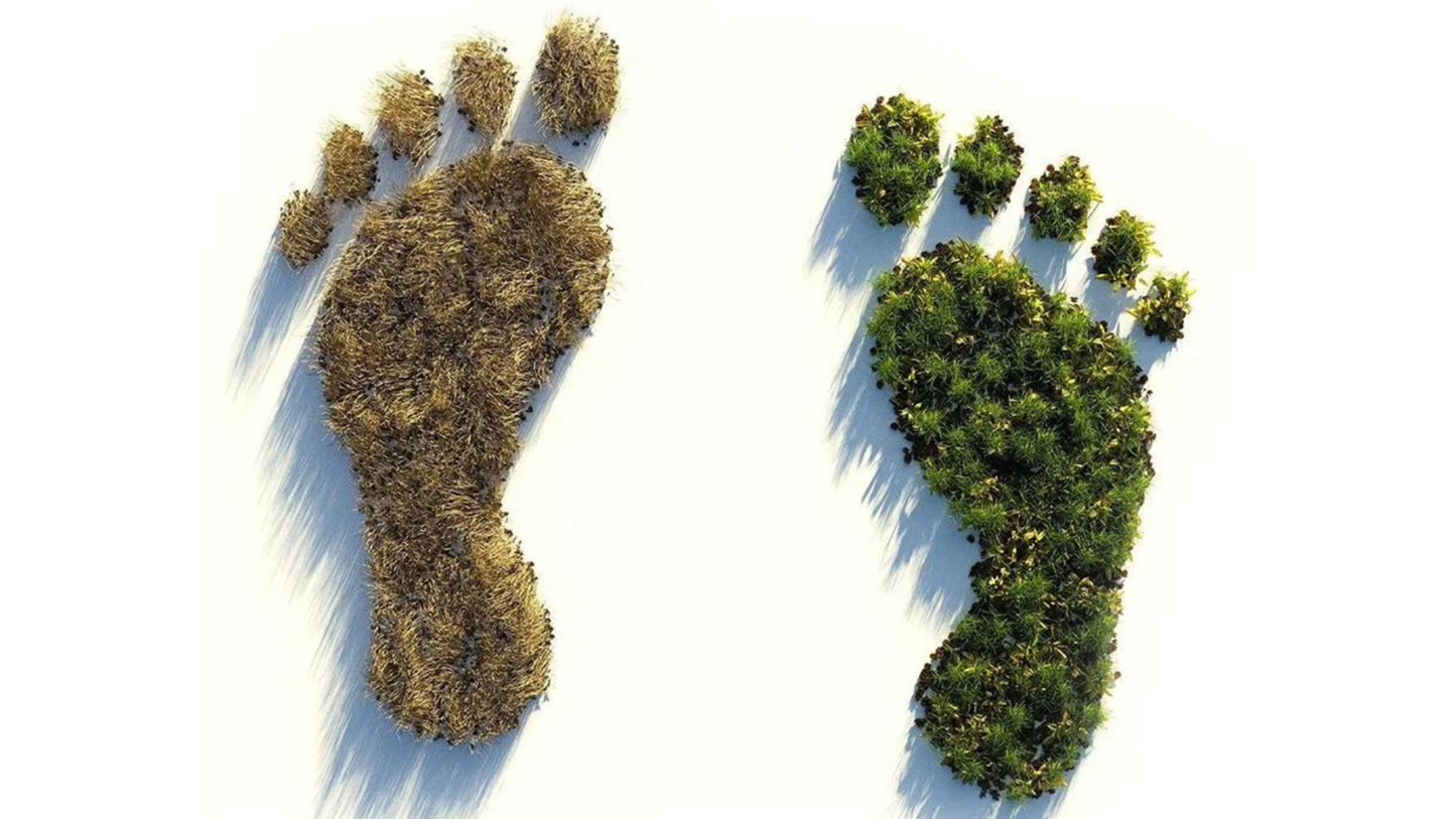 Carbon Footprint