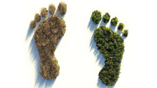 Carbon Footprint