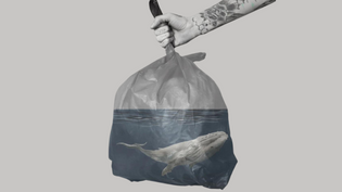  L'importanza del riciclare la plastica