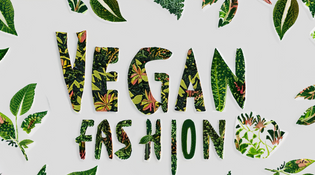  Moda Vegan e Cruelty-Free: Una Guida ai Tessuti Vegani