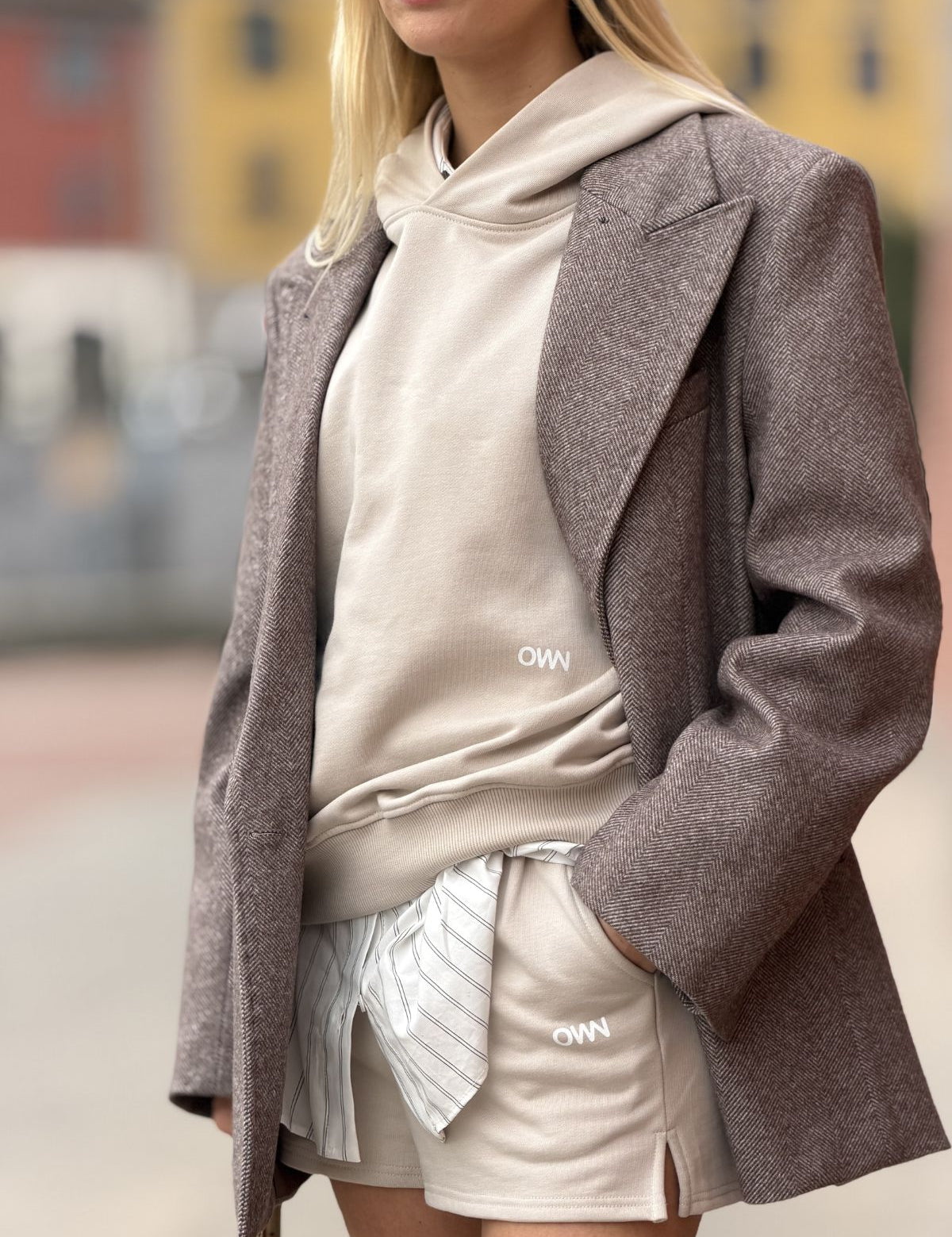 Immagine diapositiva