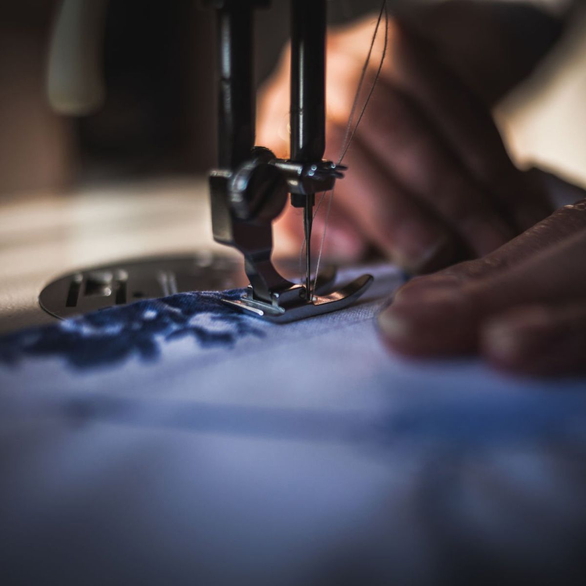 Immagine diapositiva