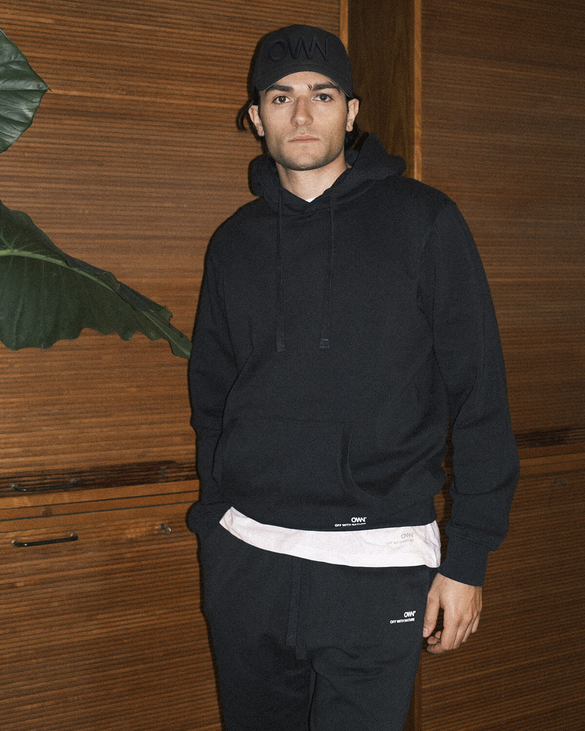 Immagine diapositiva