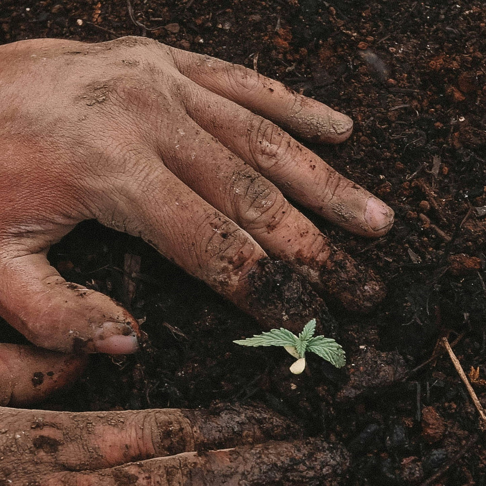 OWN -  OFF WITH NATURE